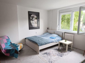 Cozy apartment in Vracar